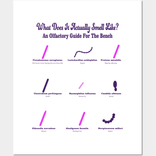 Olfactory Guide To The Microbiology Bench Posters and Art